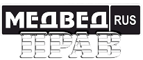 bear logo
